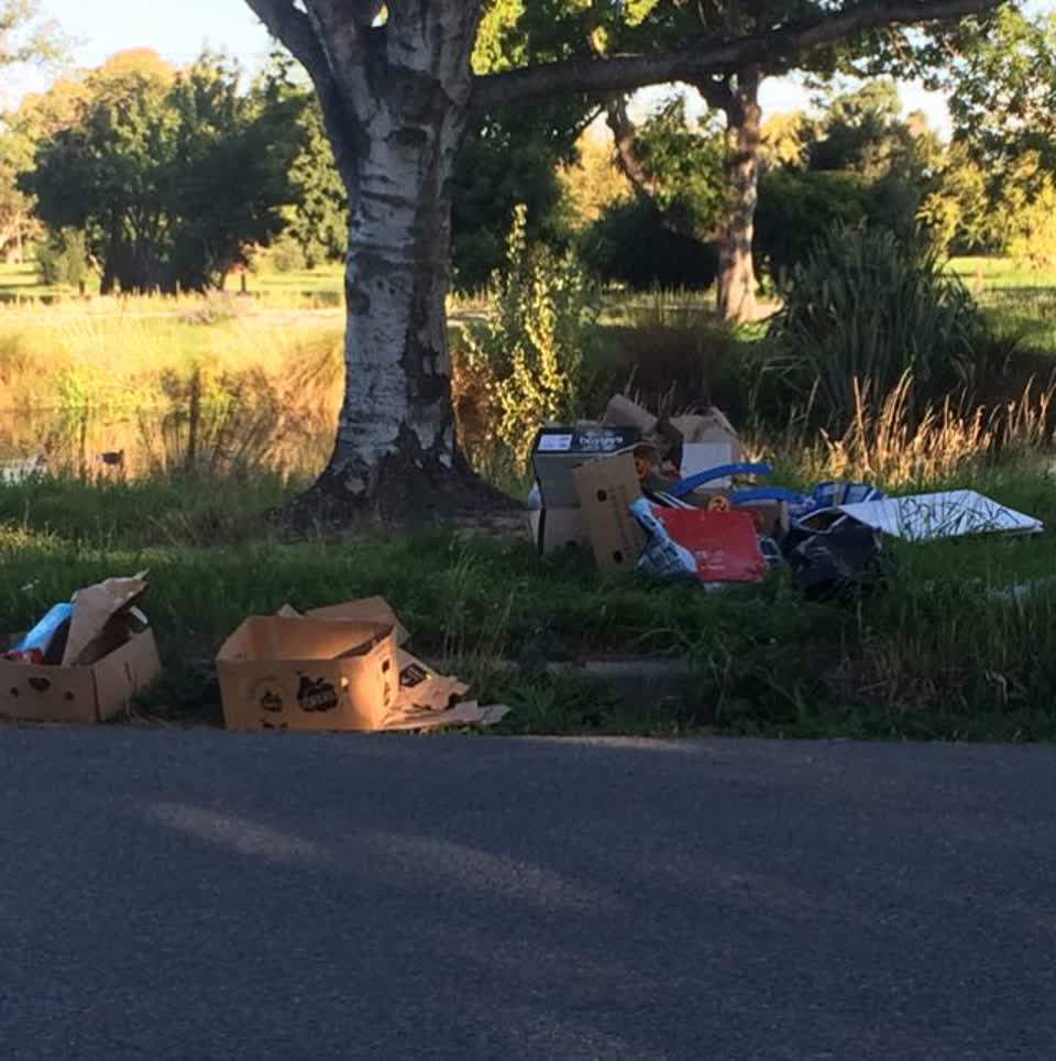 The photograph attached to this rubbish/recycling report