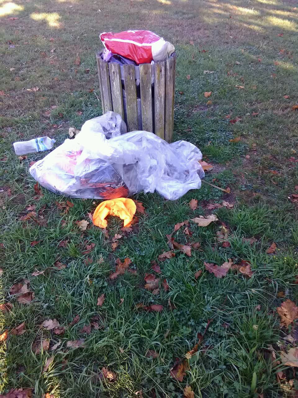 The photograph attached to this parks report