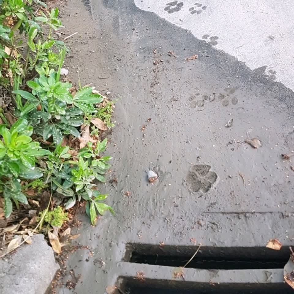 The photograph attached to this wastewater/stormwater report