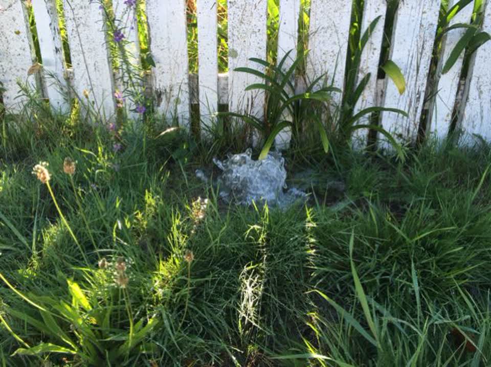 The photograph attached to this water supply report