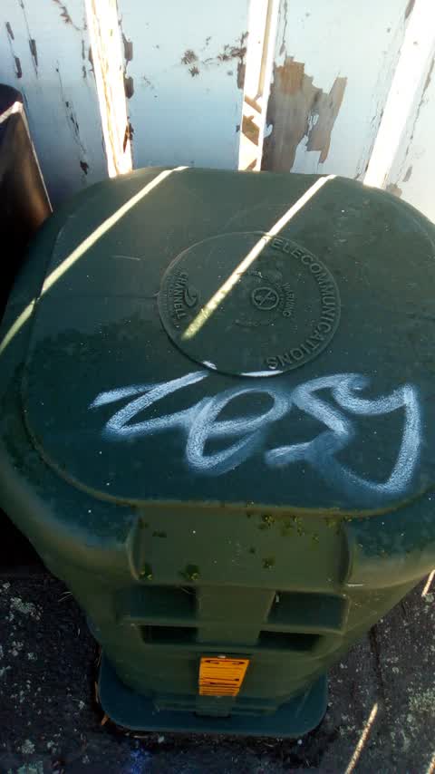 Graffiti, a report photo