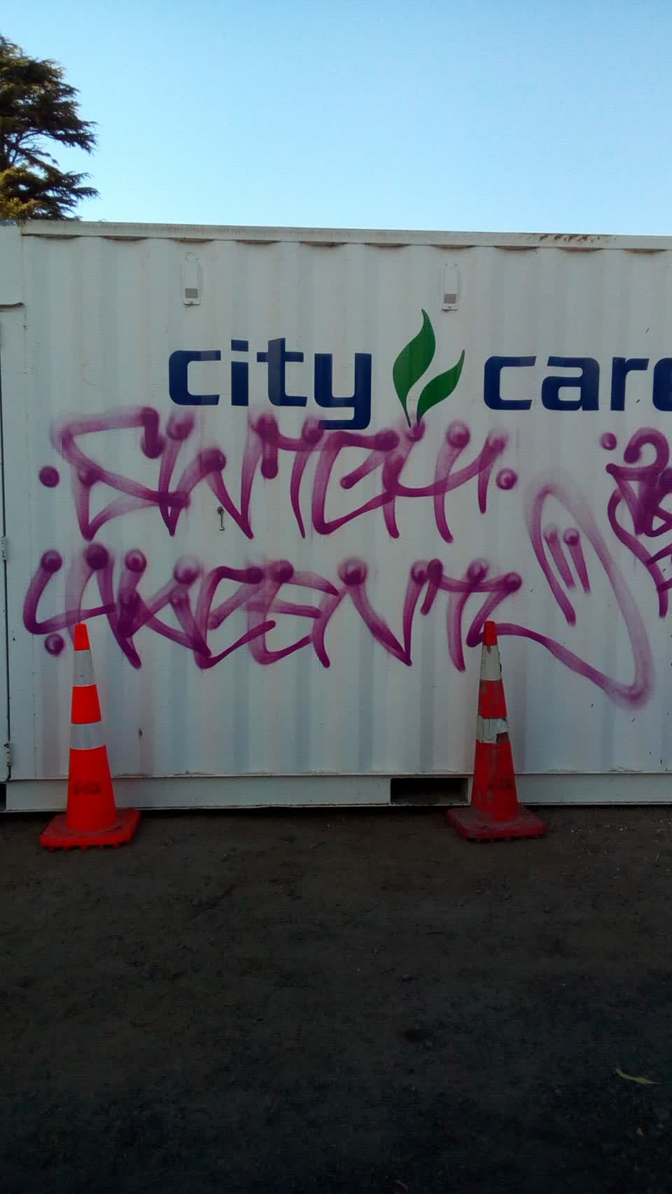 The photograph attached to this graffiti report
