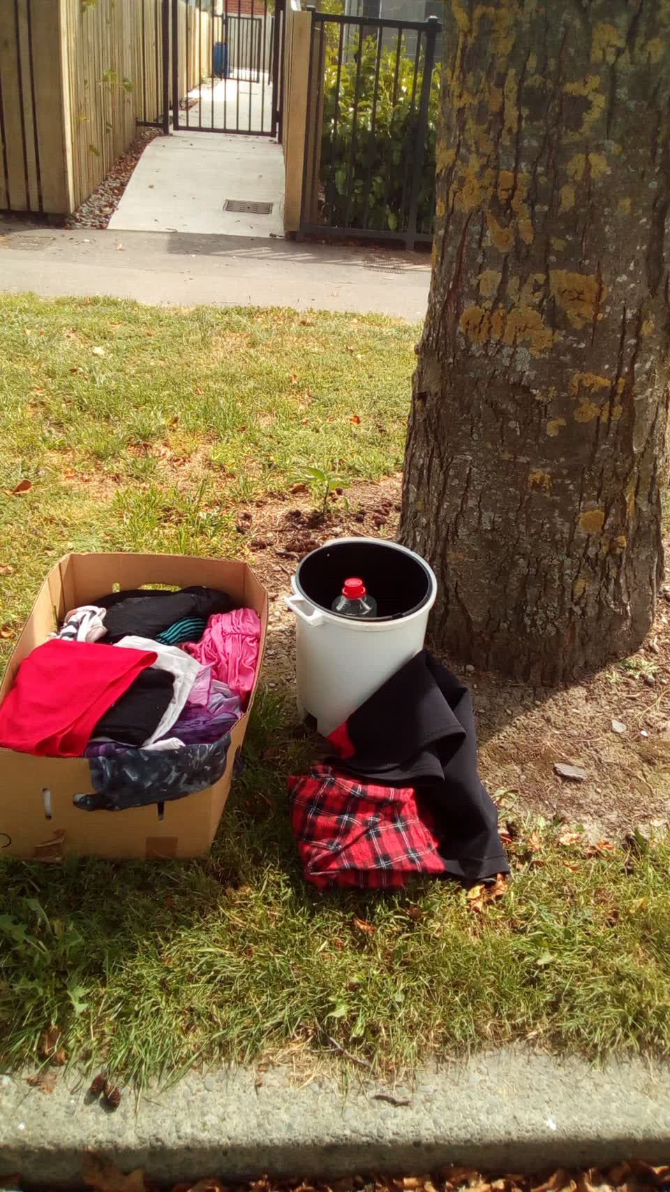The photograph attached to this rubbish/recycling report