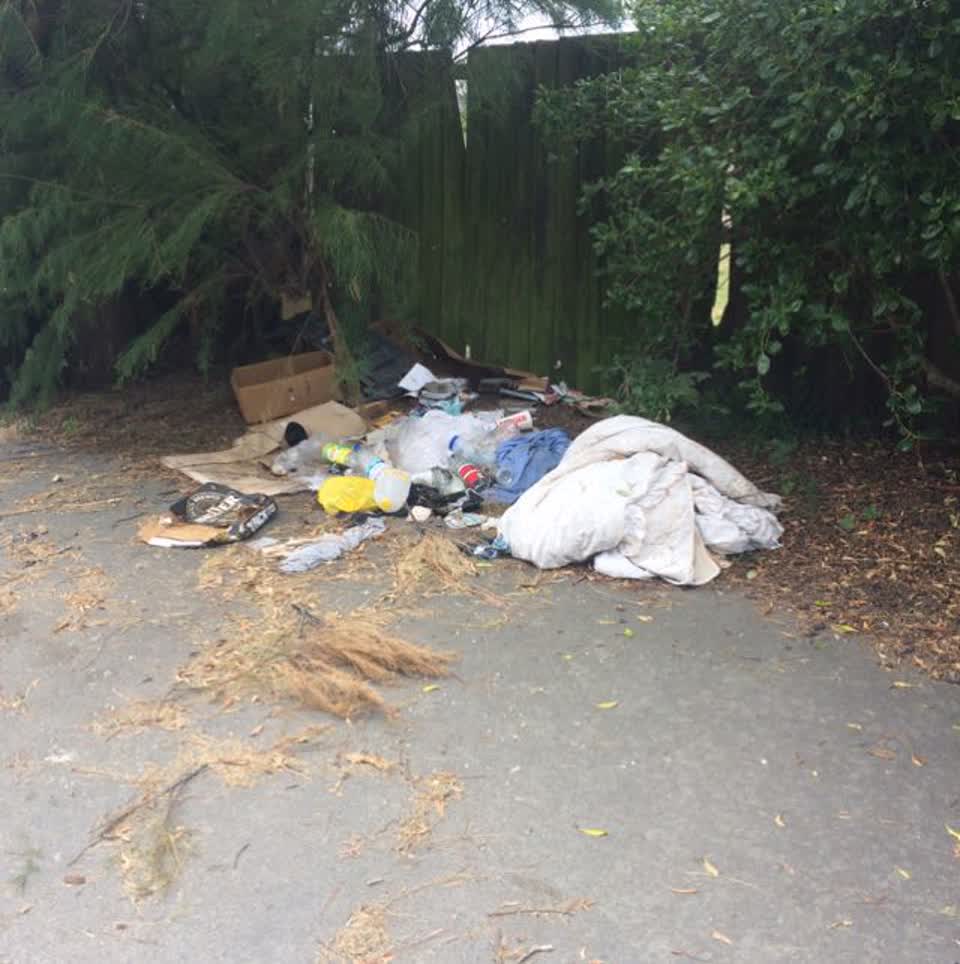 The photograph attached to this rubbish/recycling report