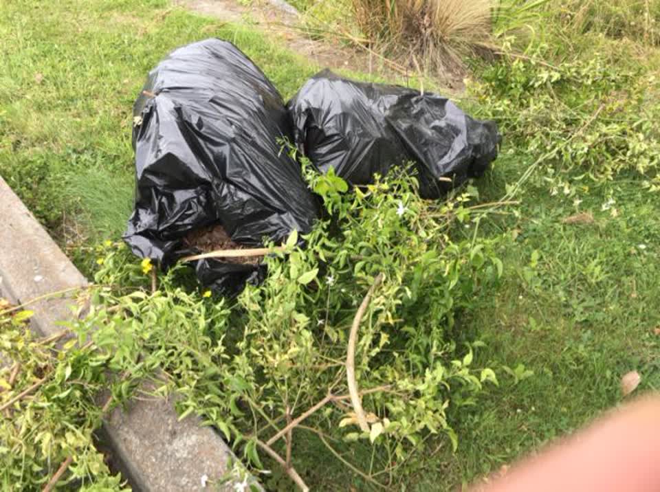 The photograph attached to this rubbish/recycling report