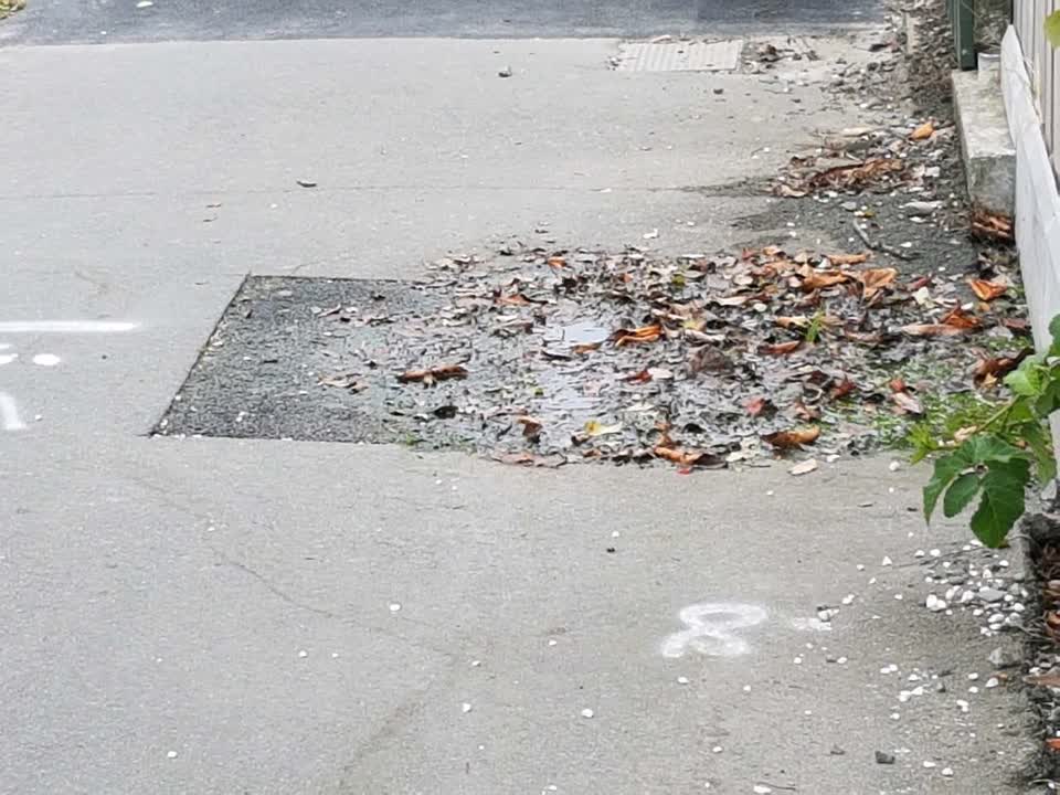 The photograph attached to this wastewater/stormwater report