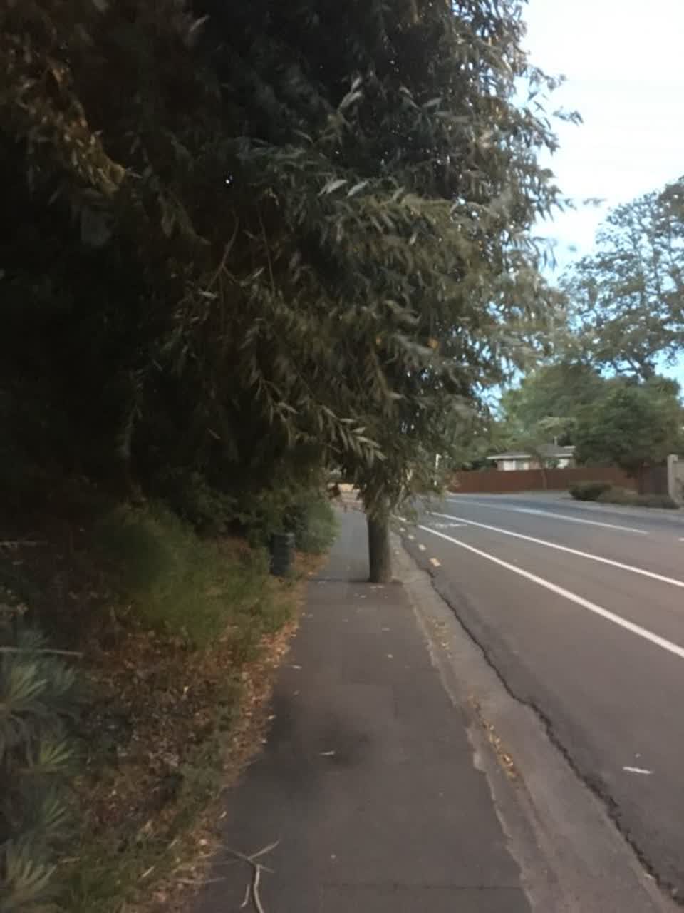 The photograph attached to this roading/streets report