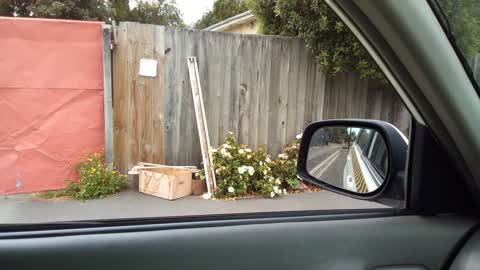 Rubbish/Recycling, a report photo