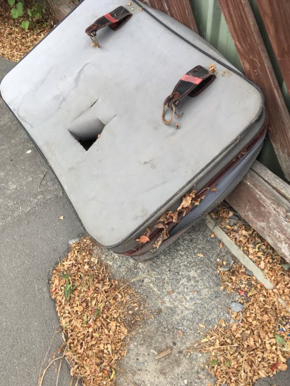 The photograph attached to this rubbish/recycling report