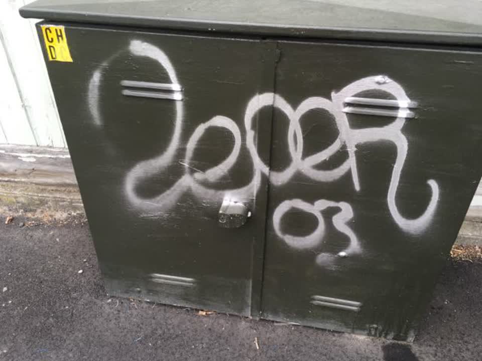 The photograph attached to this graffiti report