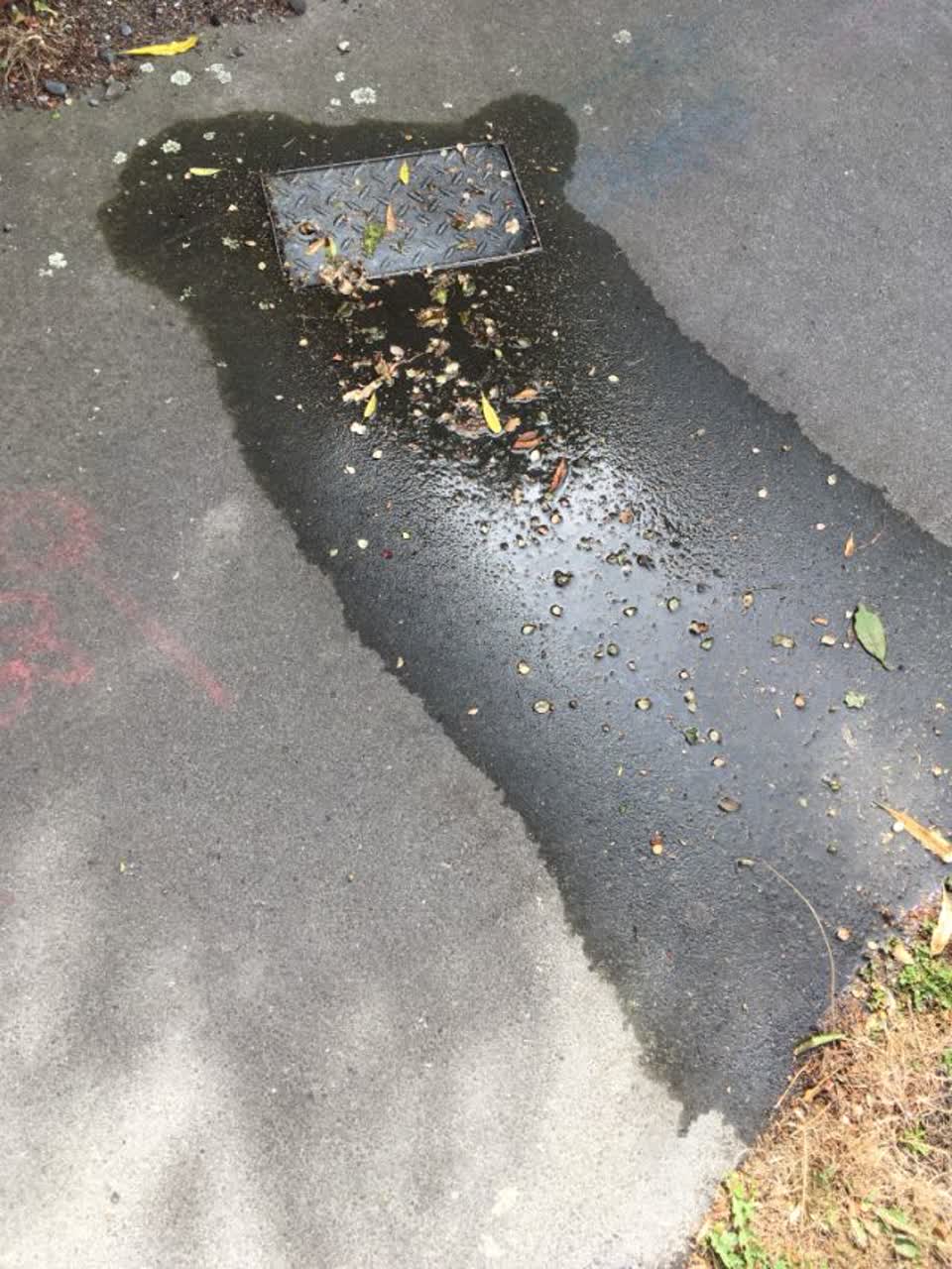 The photograph attached to this wastewater/stormwater report