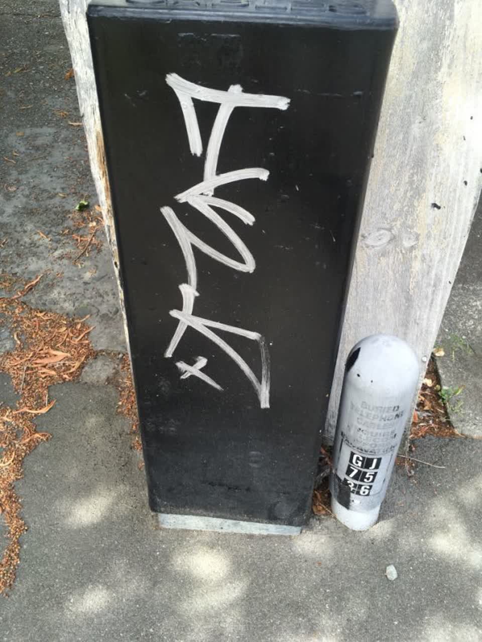 The photograph attached to this graffiti report