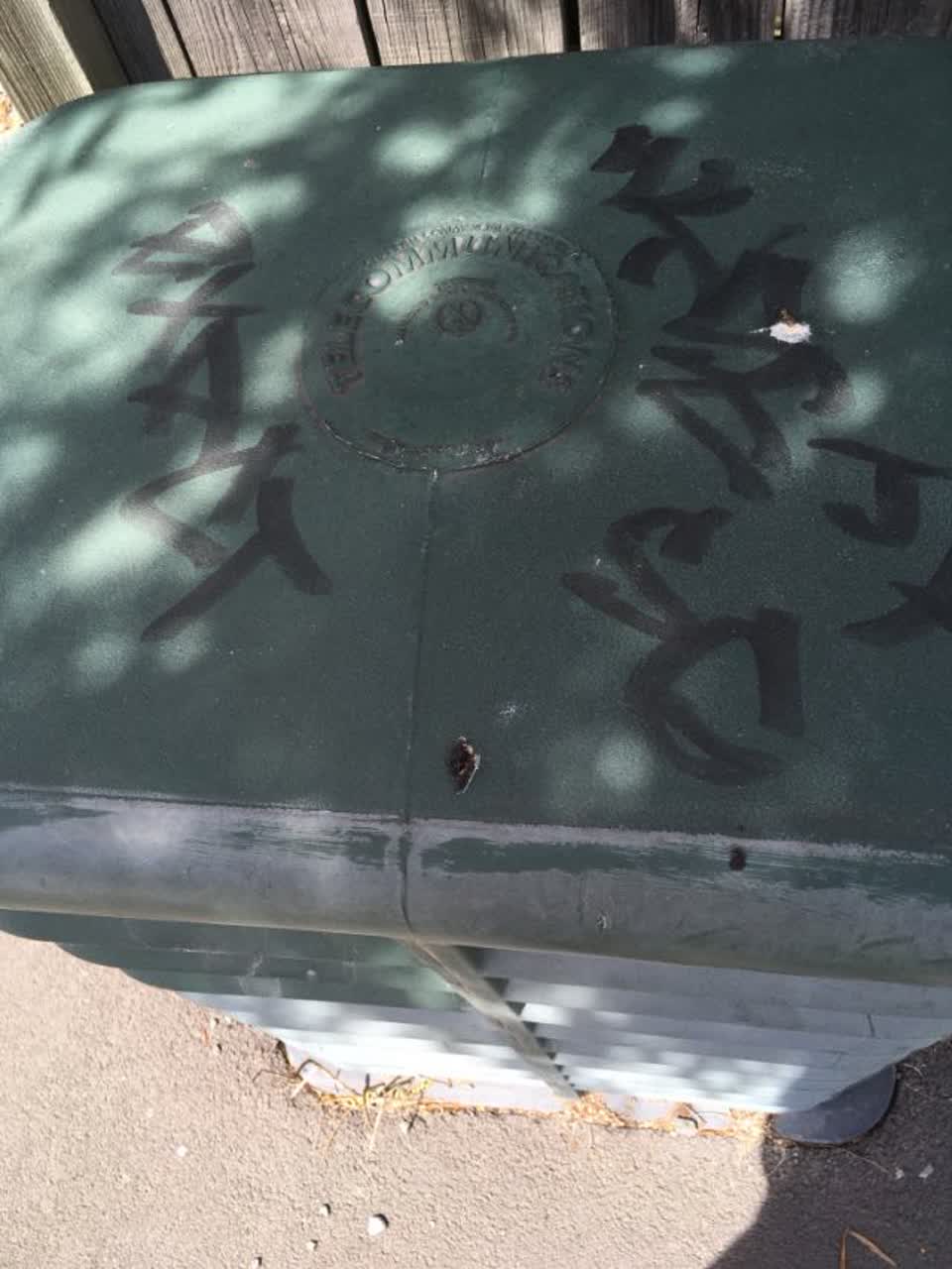 The photograph attached to this graffiti report