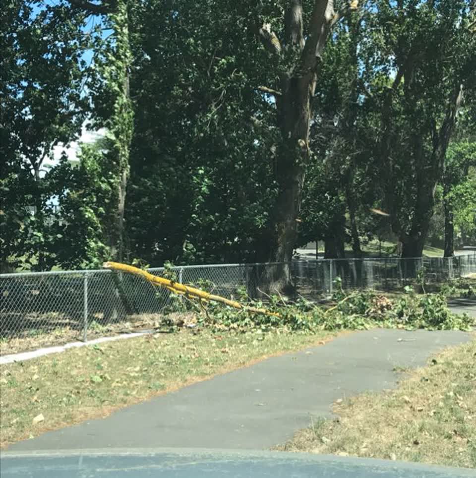 The photograph attached to this roading/streets report