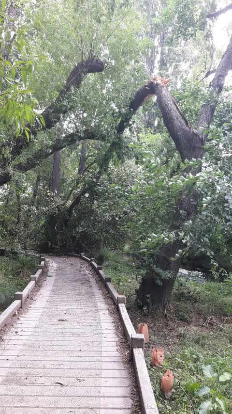 Parks, a report photo