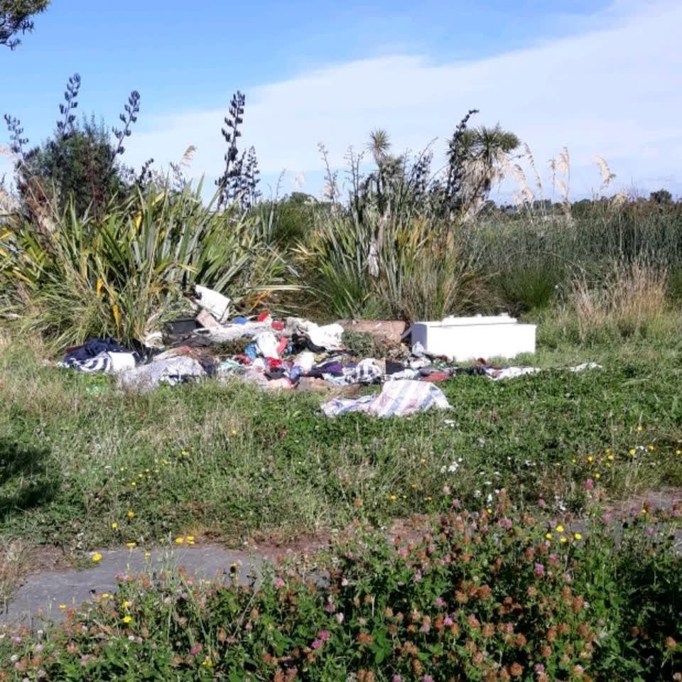 The photograph attached to this parks report