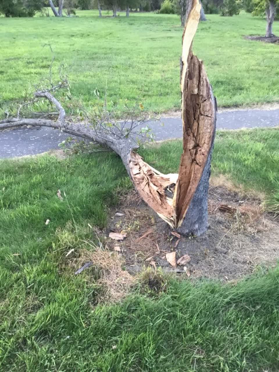 The photograph attached to this roading/streets report