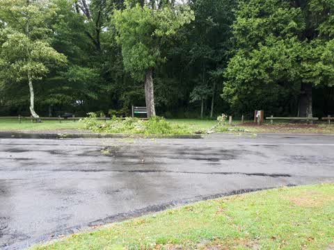 Parks, a report photo
