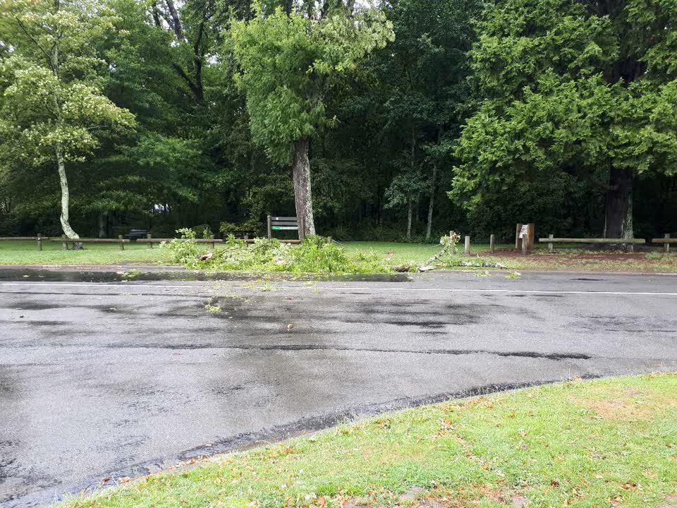 The photograph attached to this parks report