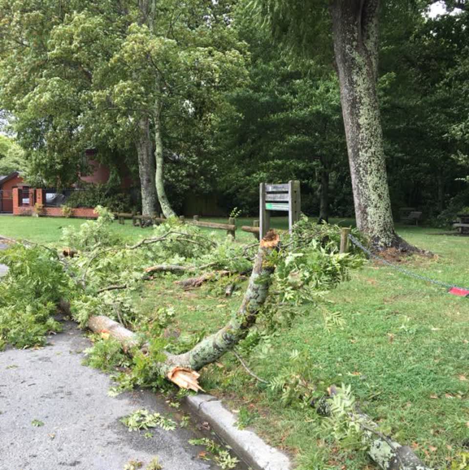 The photograph attached to this parks report