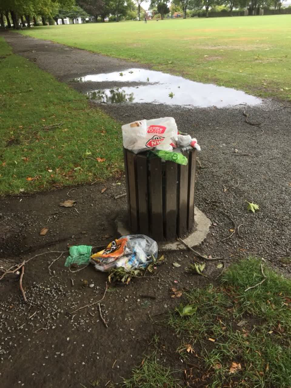 The photograph attached to this rubbish/recycling report