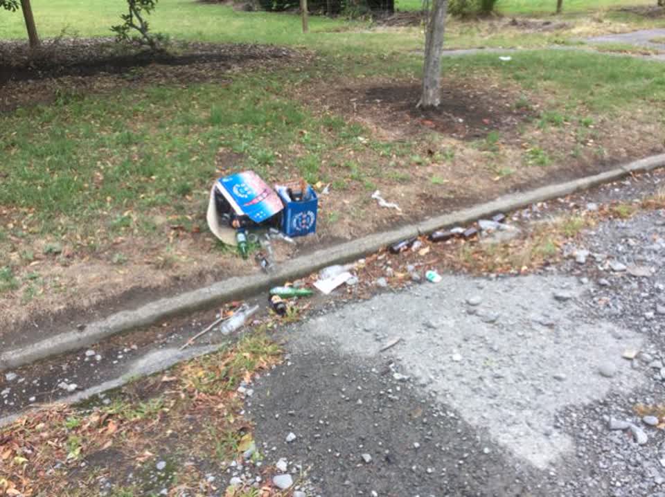 The photograph attached to this rubbish/recycling report