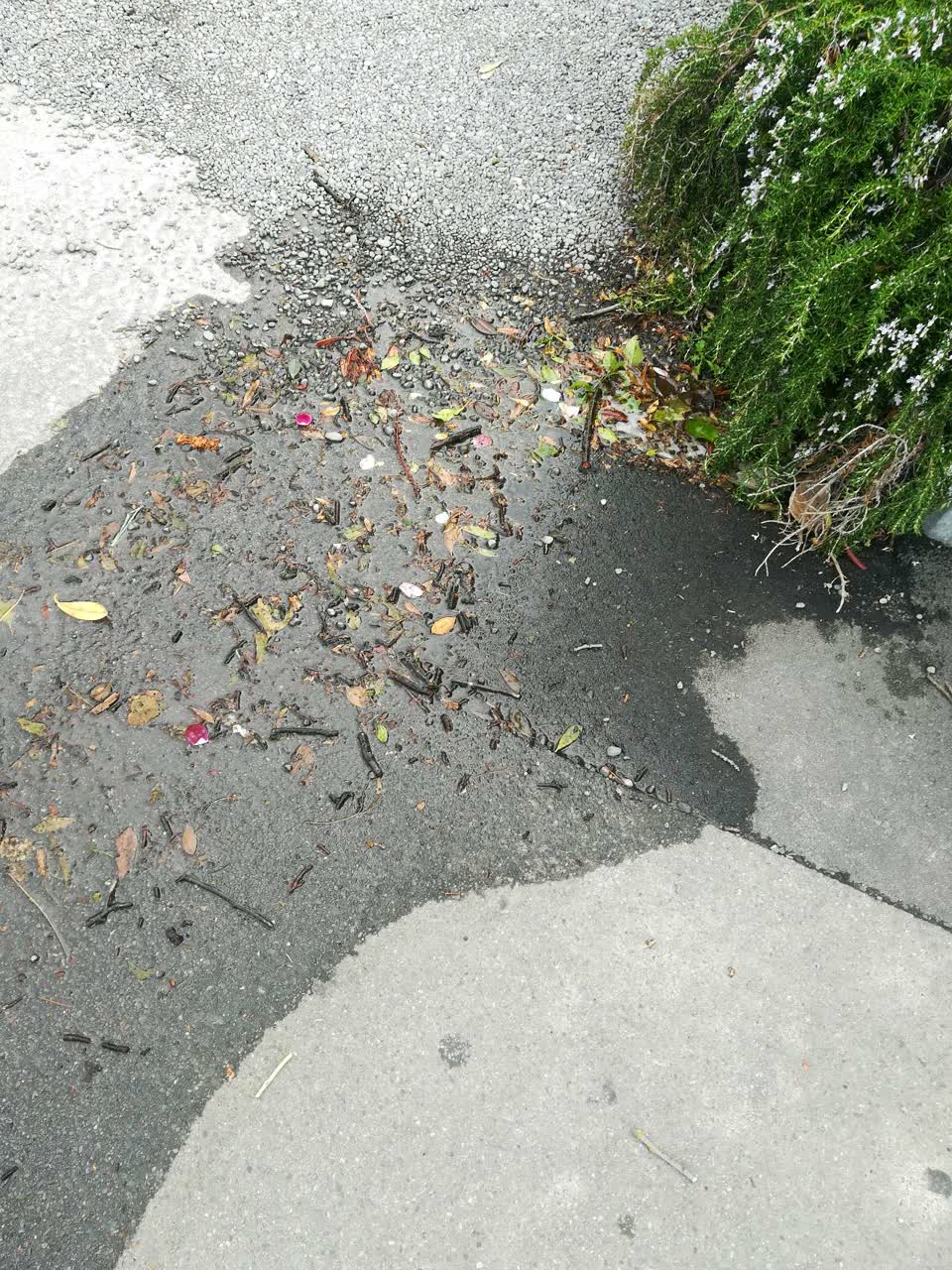 The photograph attached to this water supply report