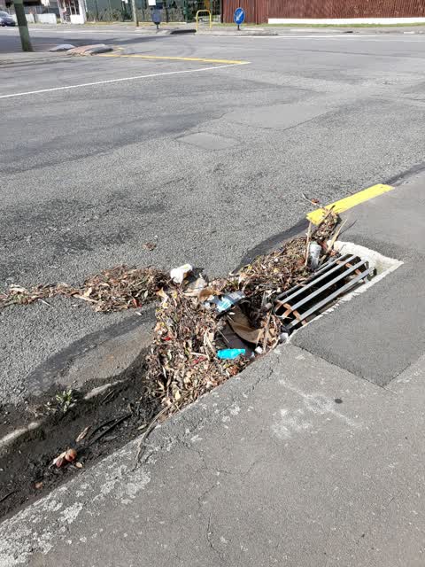 Roading/Streets, a report photo