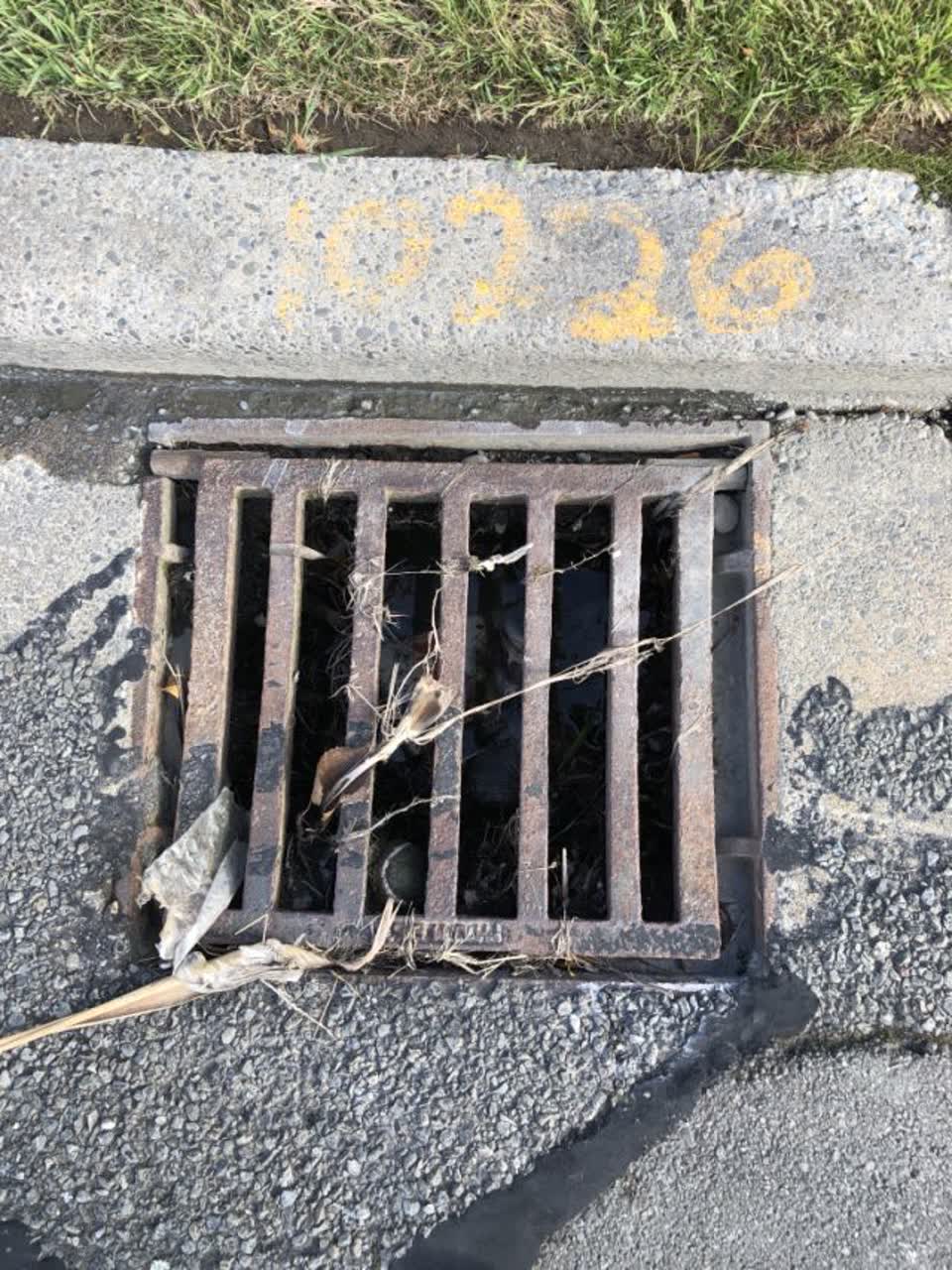 The photograph attached to this wastewater/stormwater report