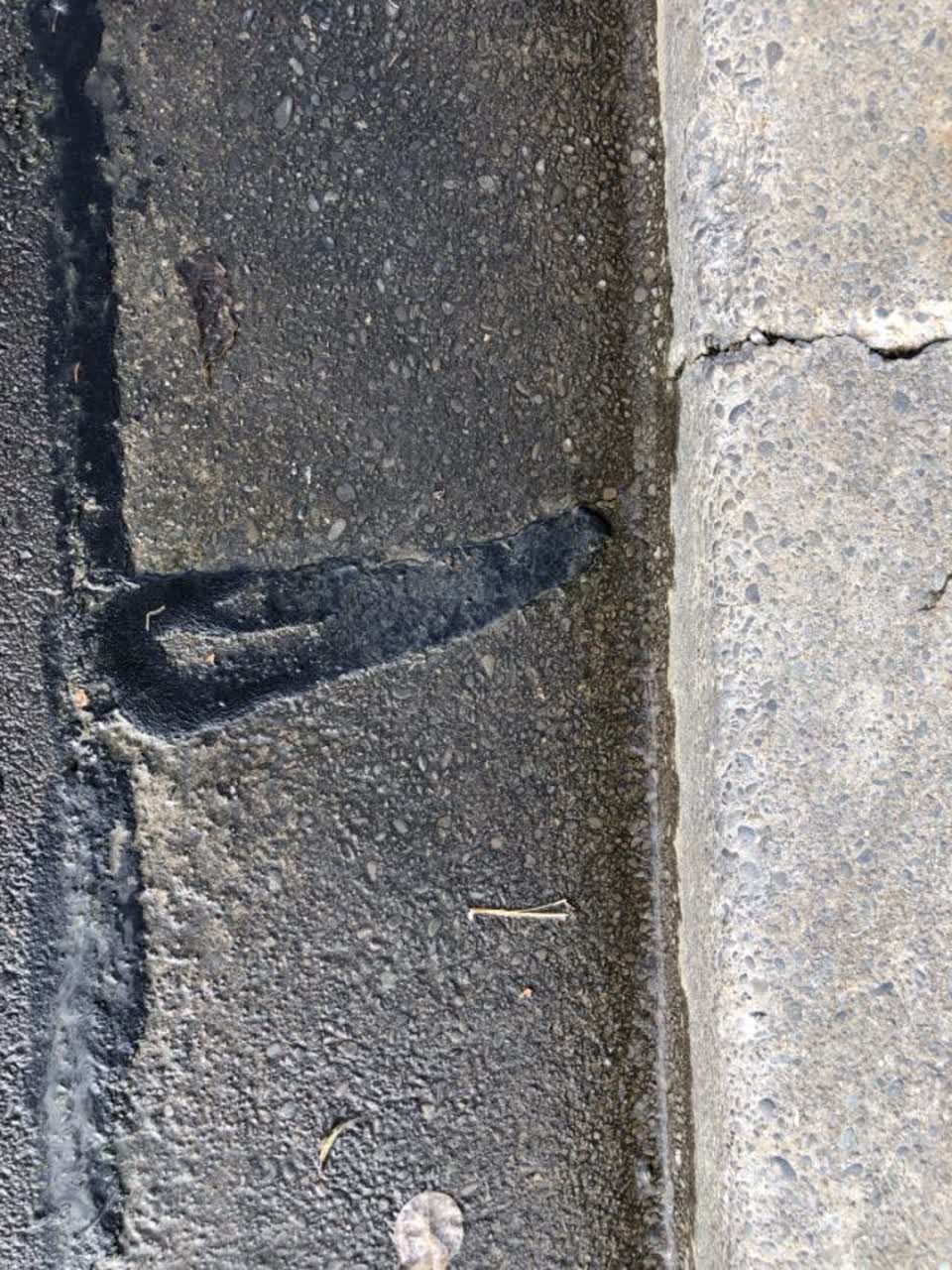 The photograph attached to this wastewater/stormwater report
