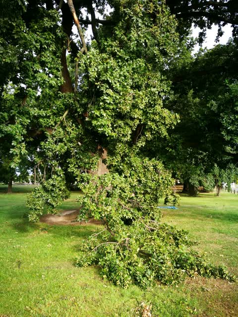 Parks, a report photo