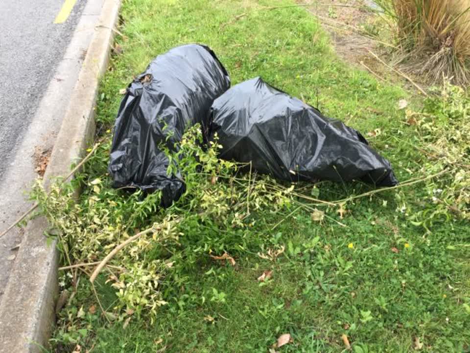 The photograph attached to this rubbish/recycling report