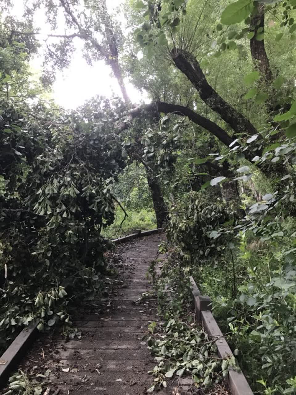 The photograph attached to this parks report