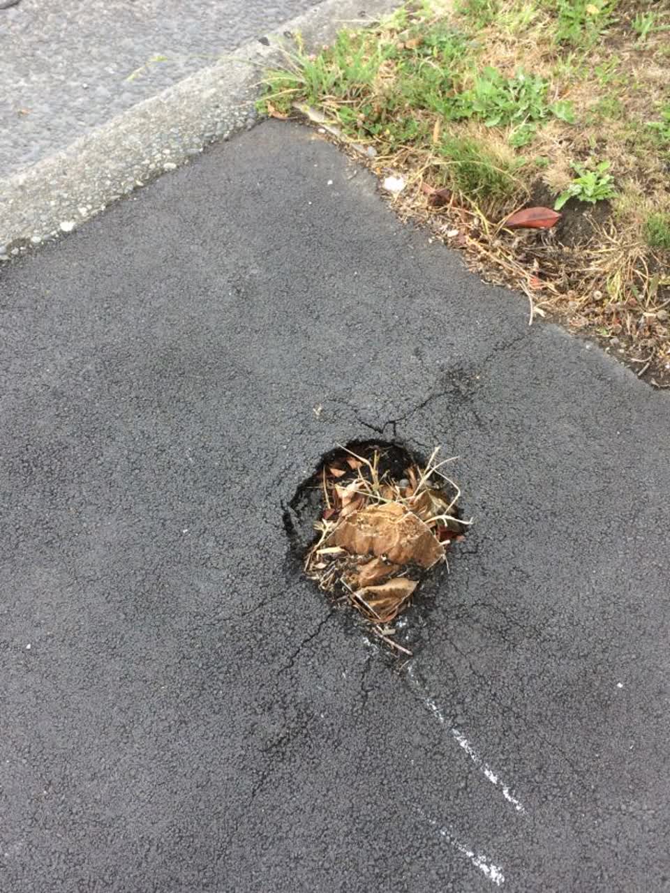 The photograph attached to this roading/streets report