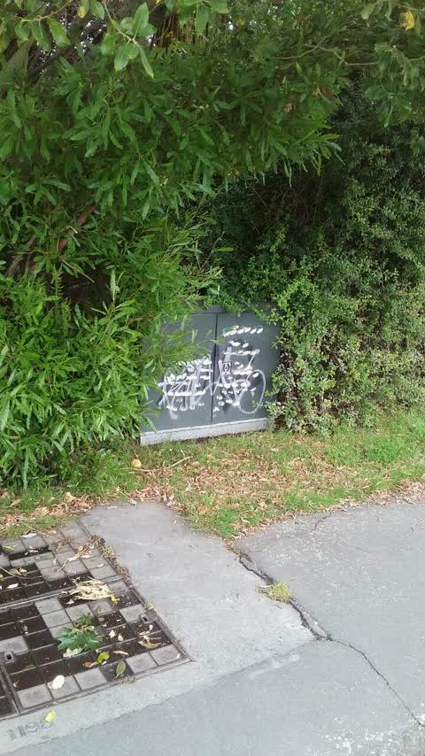 Graffiti, a report photo