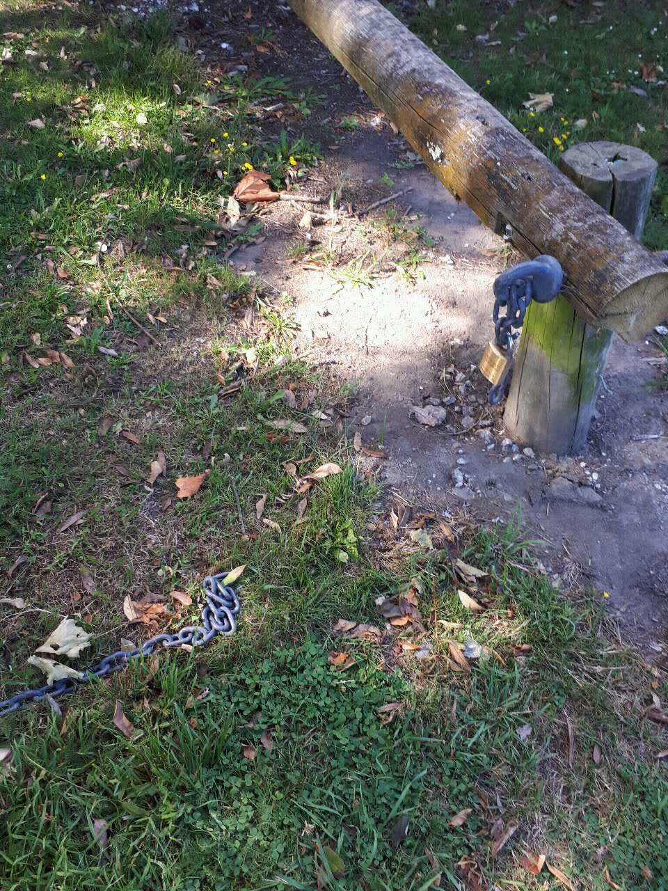 The photograph attached to this parks report