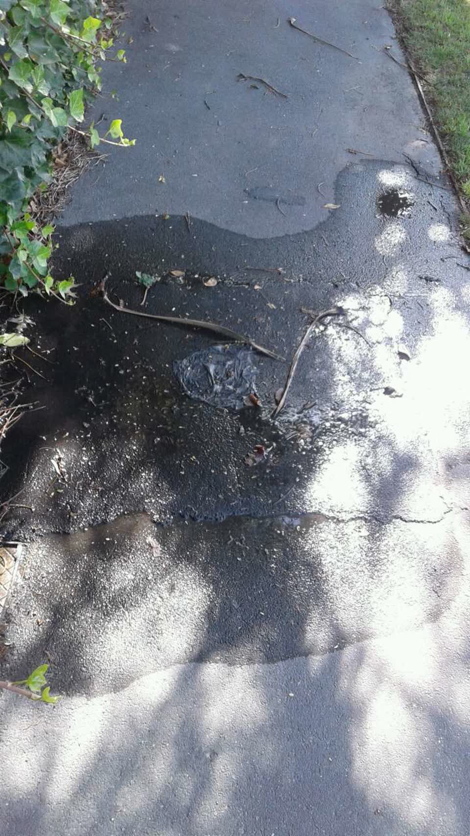 The photograph attached to this water supply report