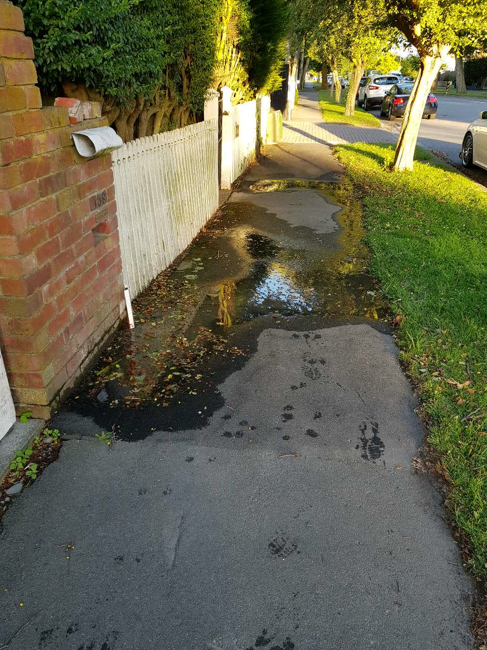 The photograph attached to this water supply report