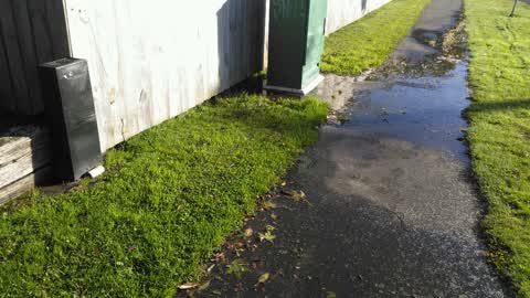 Water Supply, a report photo