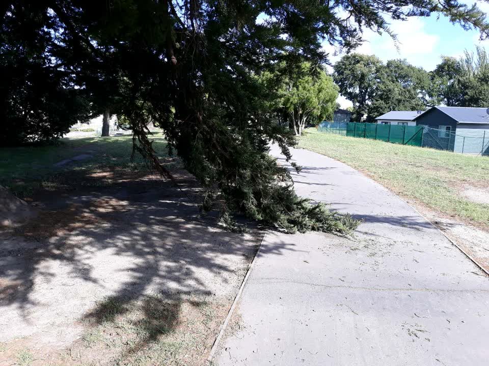The photograph attached to this parks report