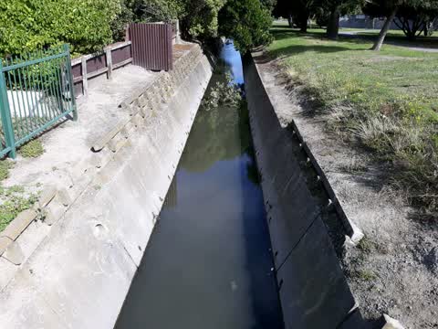 Parks, a report photo