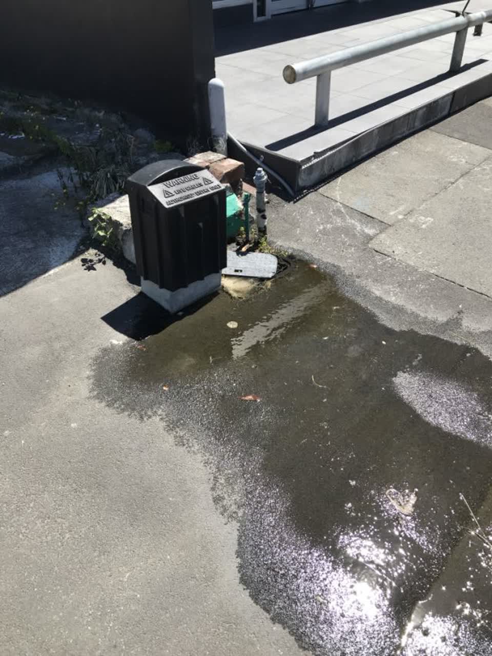 The photograph attached to this water supply report