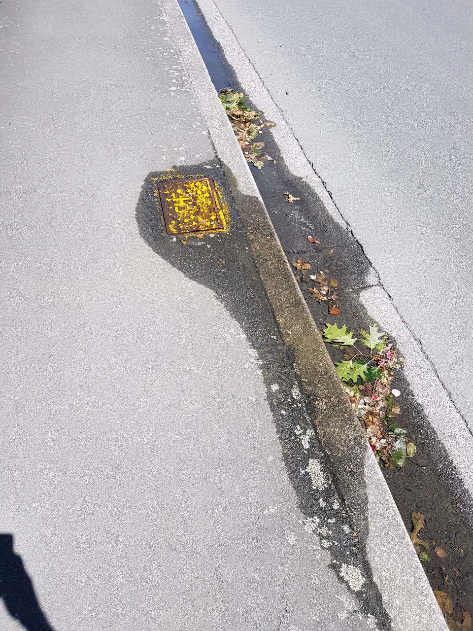 The photograph attached to this water supply report