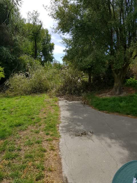 Parks, a report photo