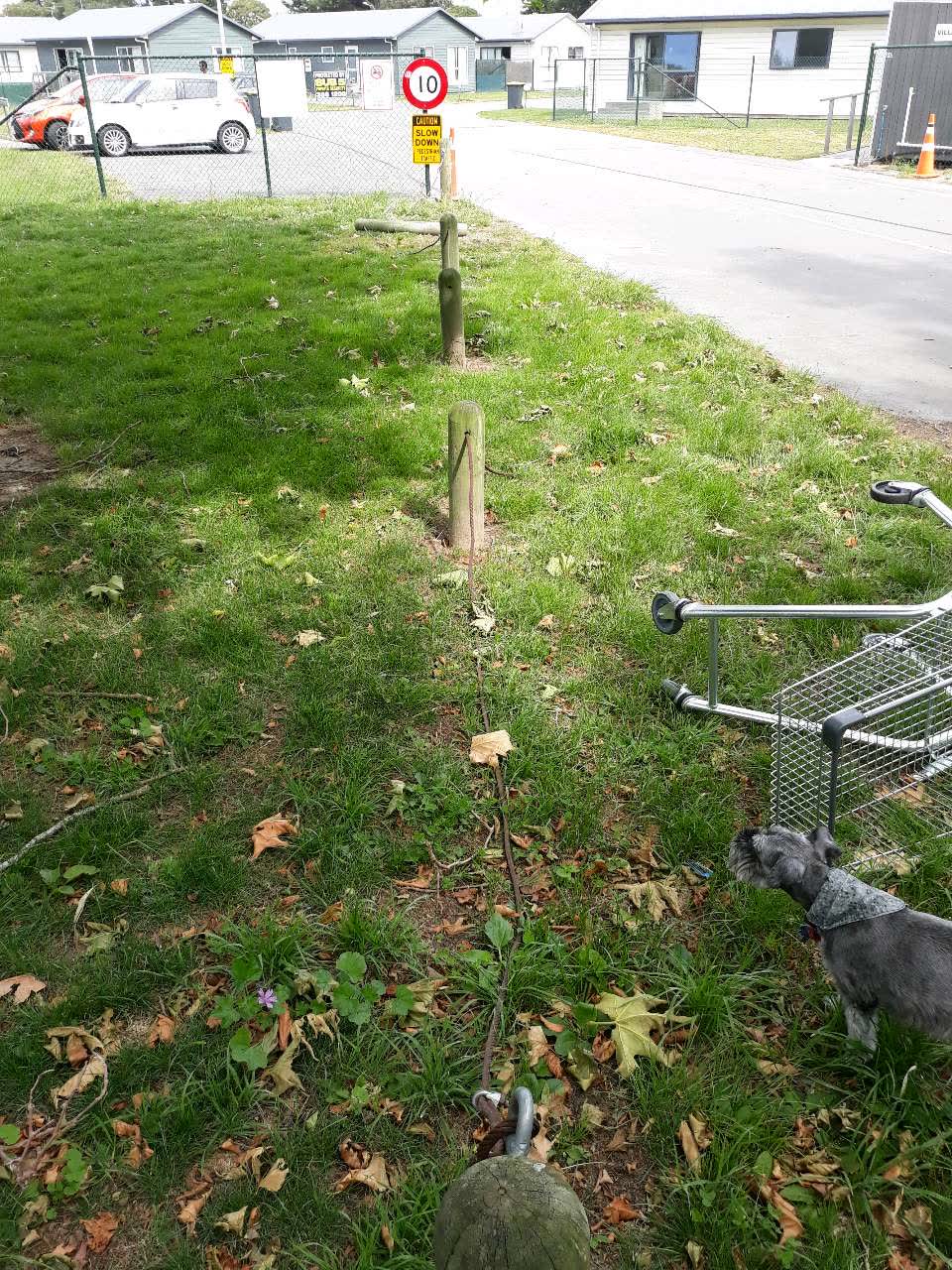 The photograph attached to this parks report