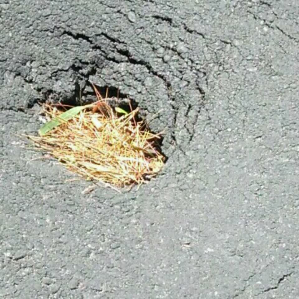 The photograph attached to this roading/streets report