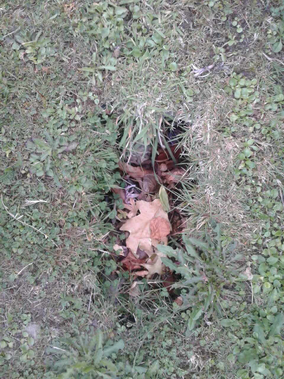 The photograph attached to this water supply report