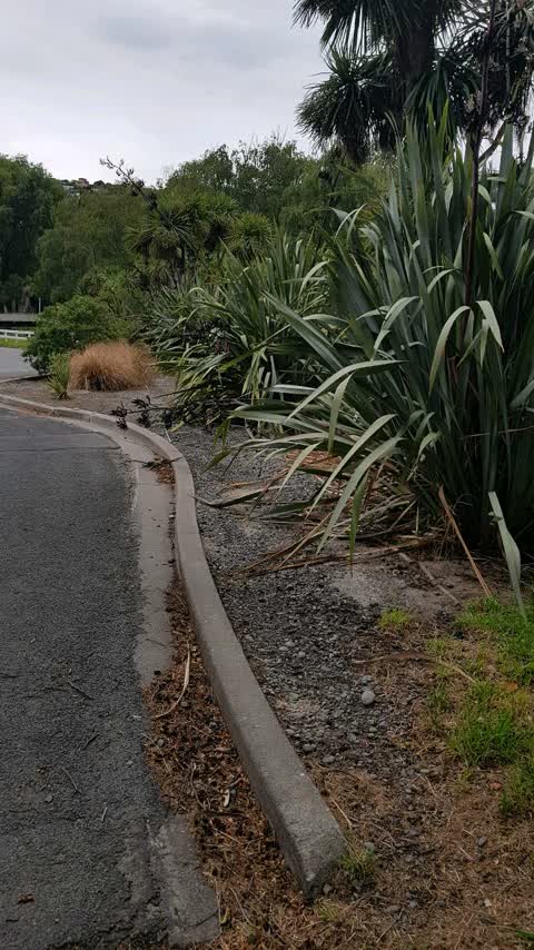 Parks, a report photo