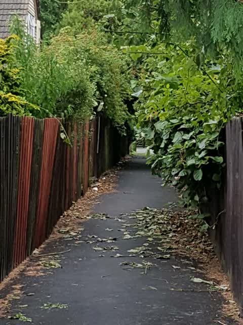 Roading/Streets, a report photo
