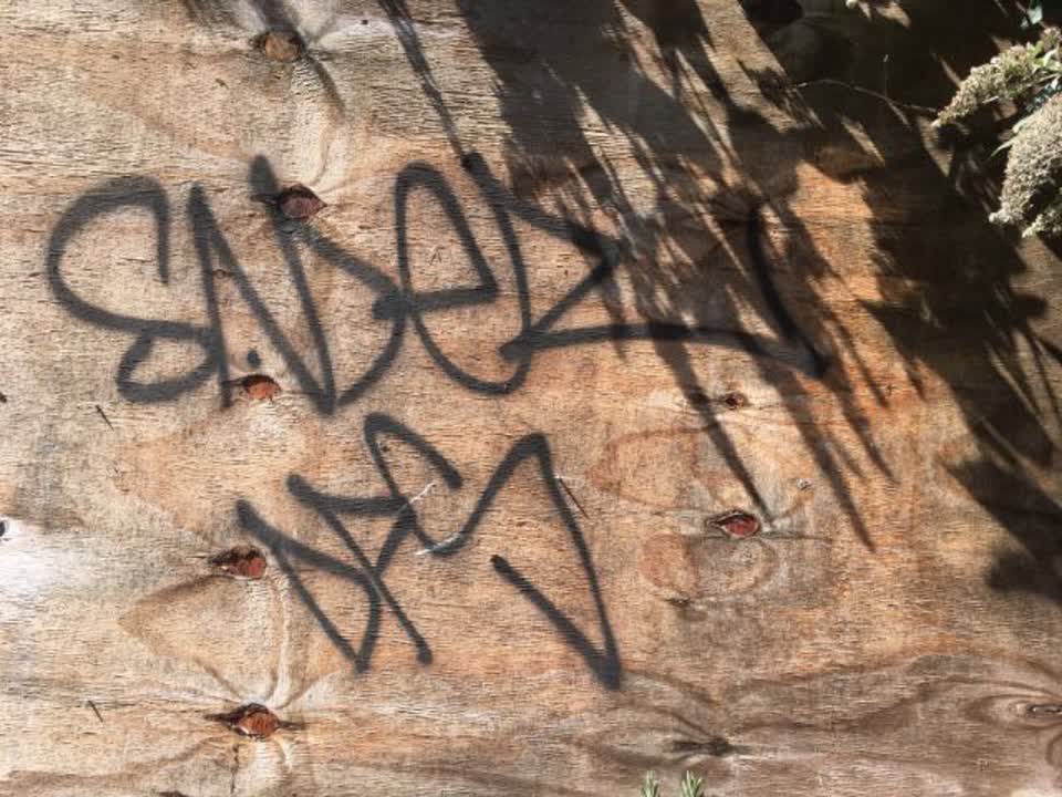 The photograph attached to this graffiti report
